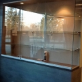 cabinet-glass6